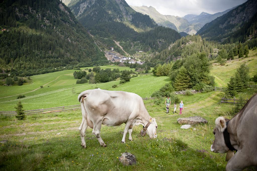 Hotel Schoelzhorn Superior Racines Zewnętrze zdjęcie